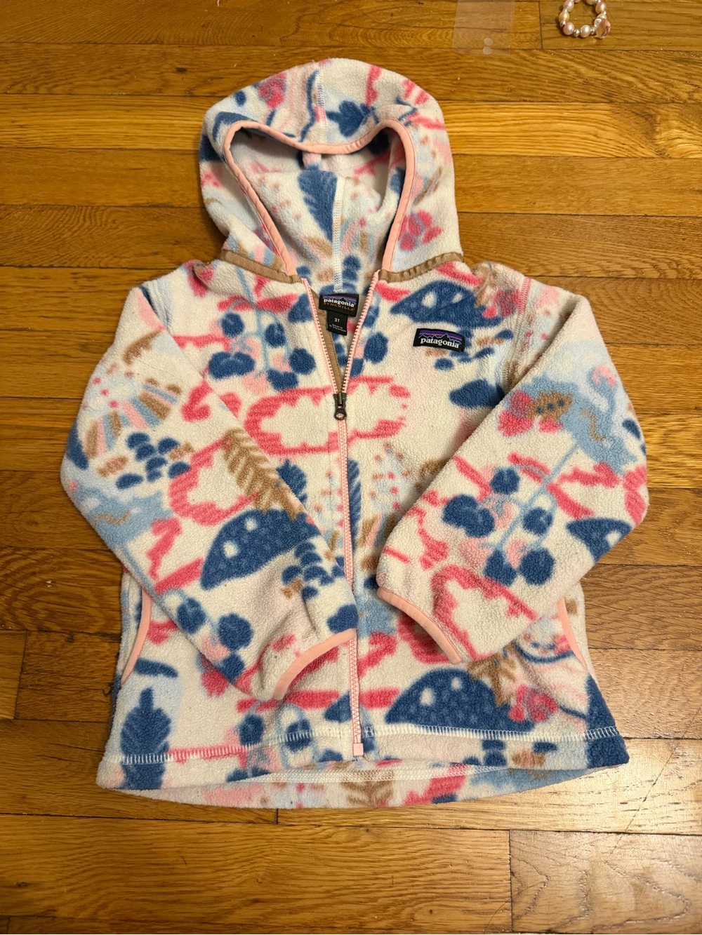Patagonia Synchilla Fleece